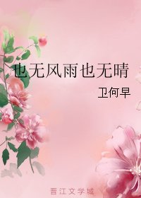 也无风雨也无晴